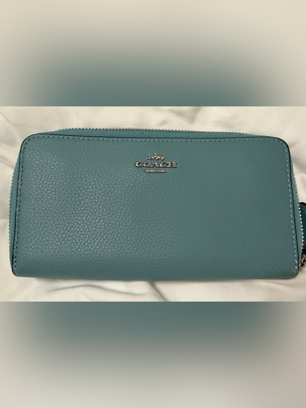 COACH Pebbled Leather Zip Pouch in Teal Blue